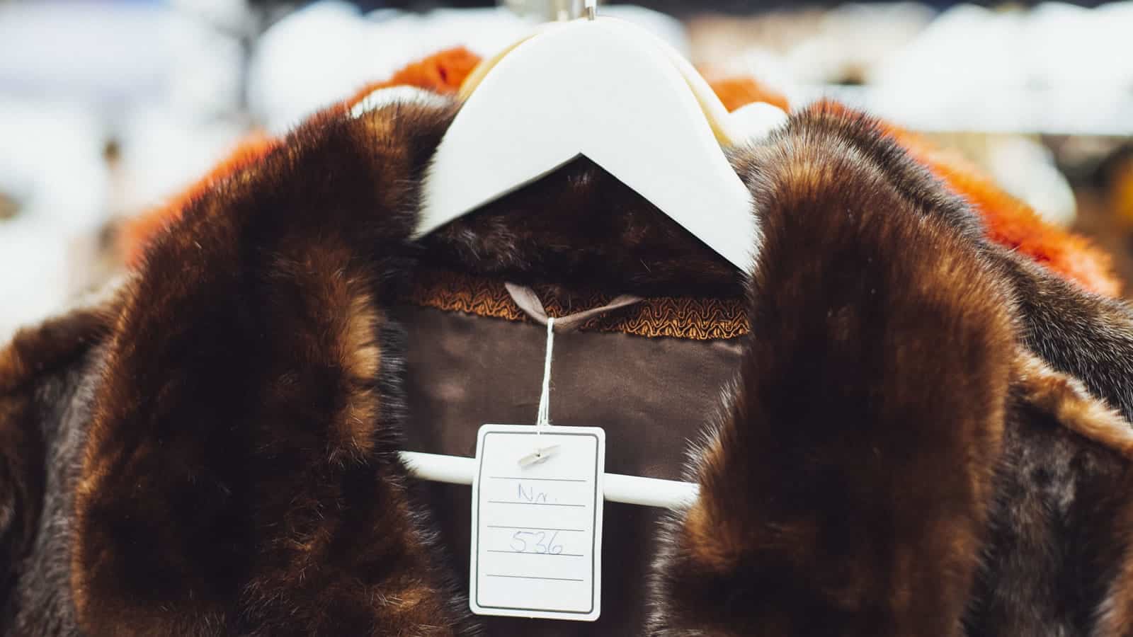 A Bargain Is Something You Don’t Need At A Price You Can’t Resist