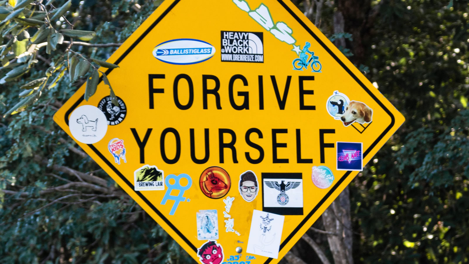 A Clear Conscience Is Usually The Sign Of A Bad Memory