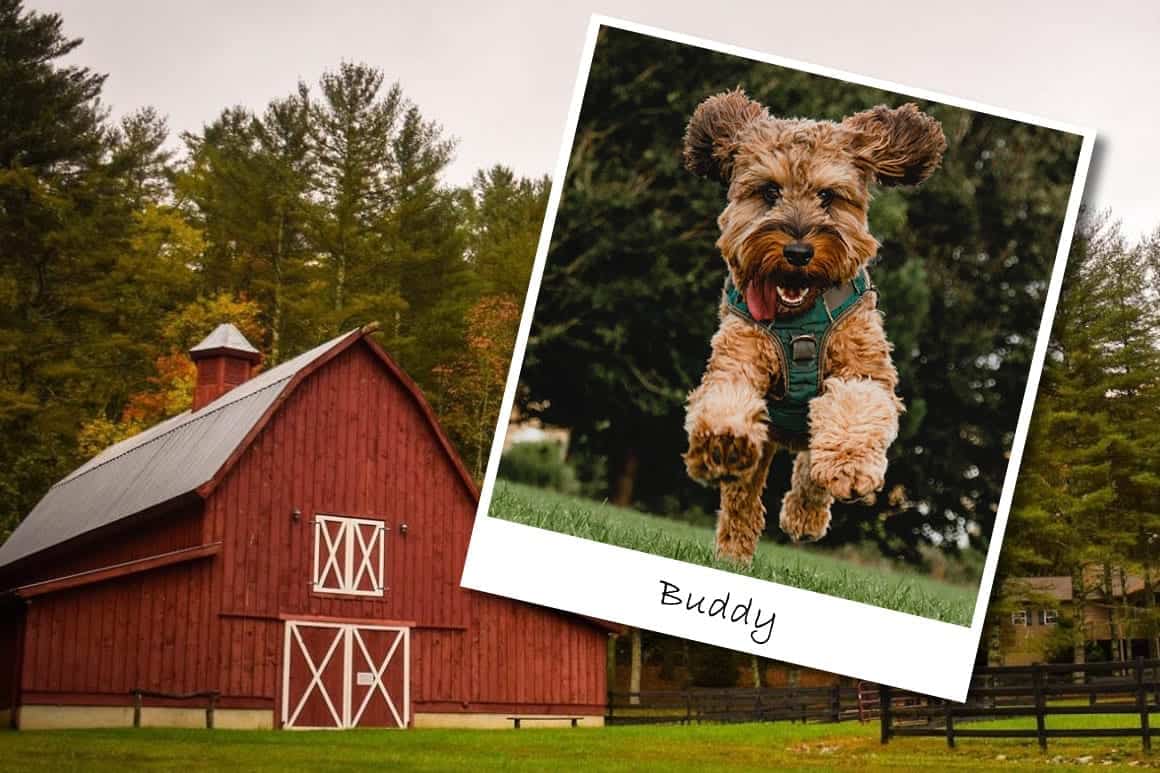 A Good Life is a Collection of Memories