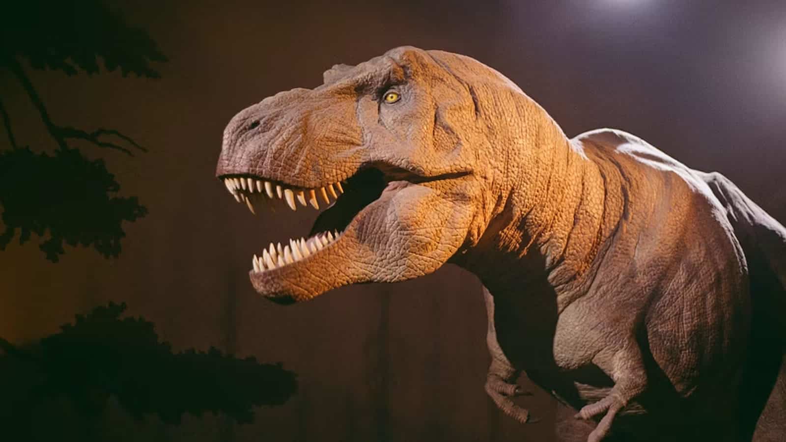 I Buy All My Guns From A Guy Called T-Rex, He’s A Small Arms Dealer