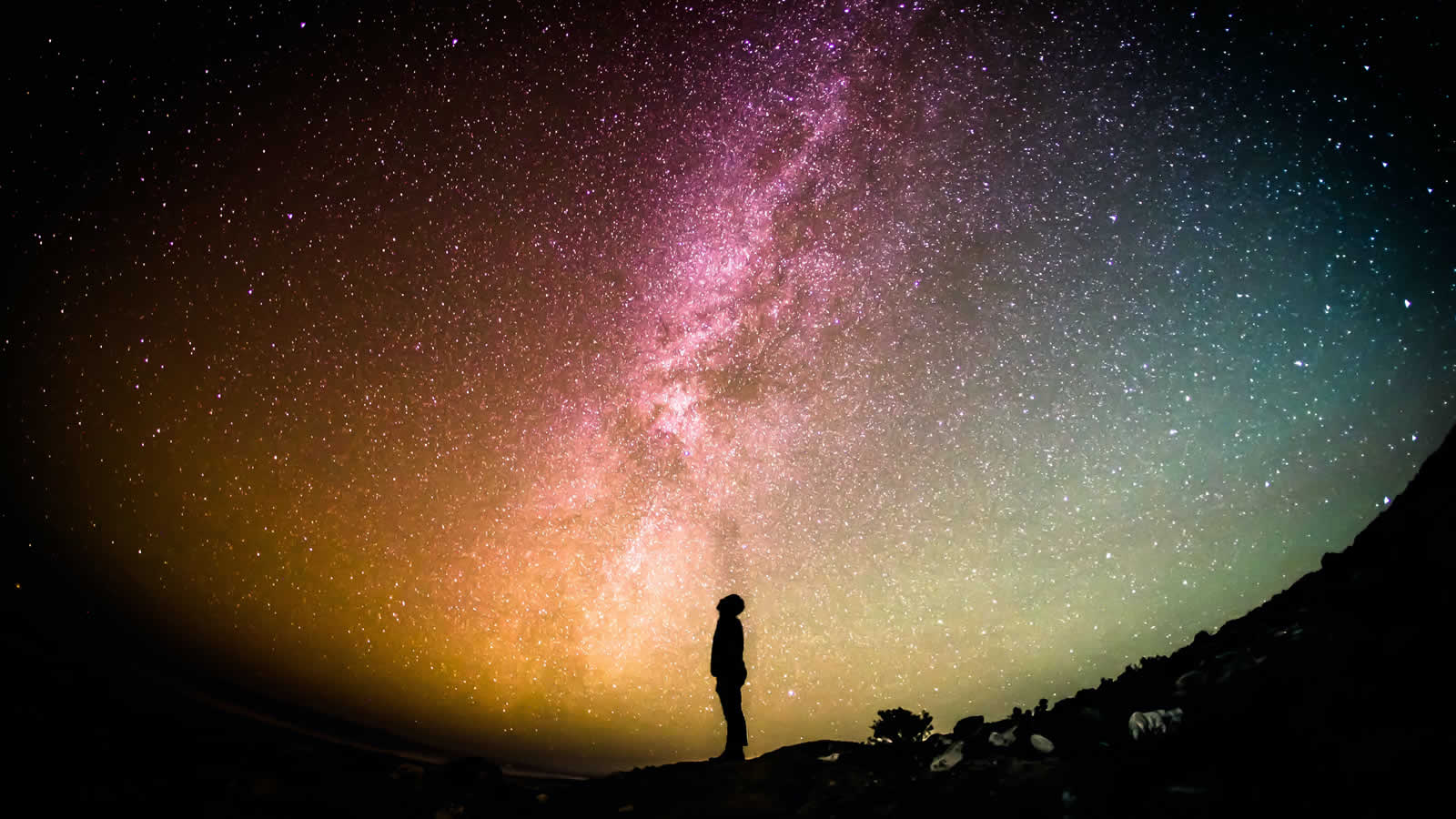 I Live In My Own Little World. But Its Ok, They Know Me Here