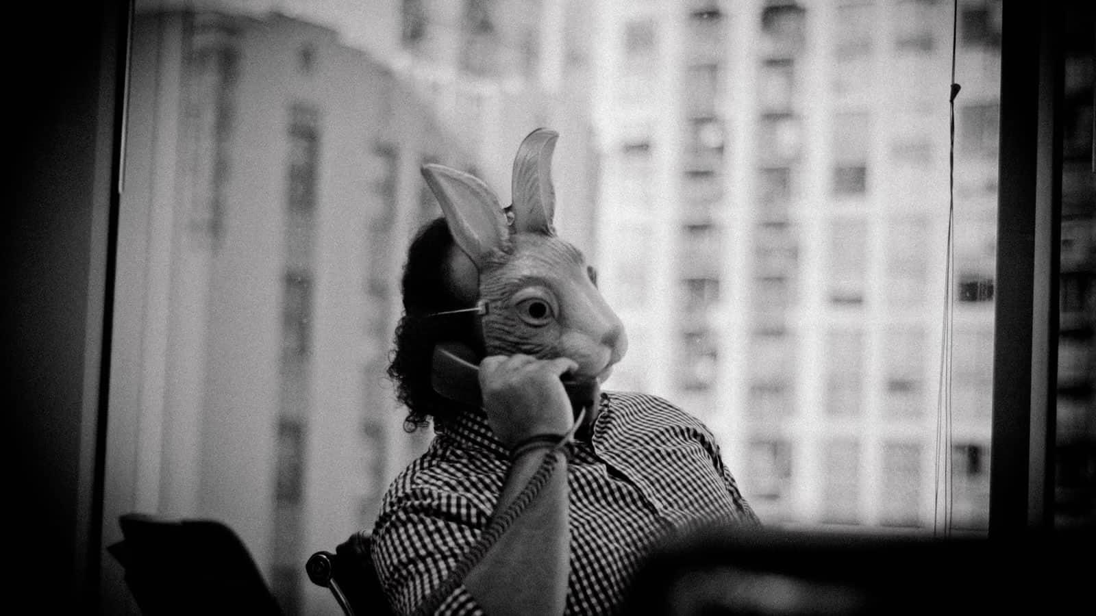 I Used To Breed Rabbits, Then I Realized They Can Handle It Themselves