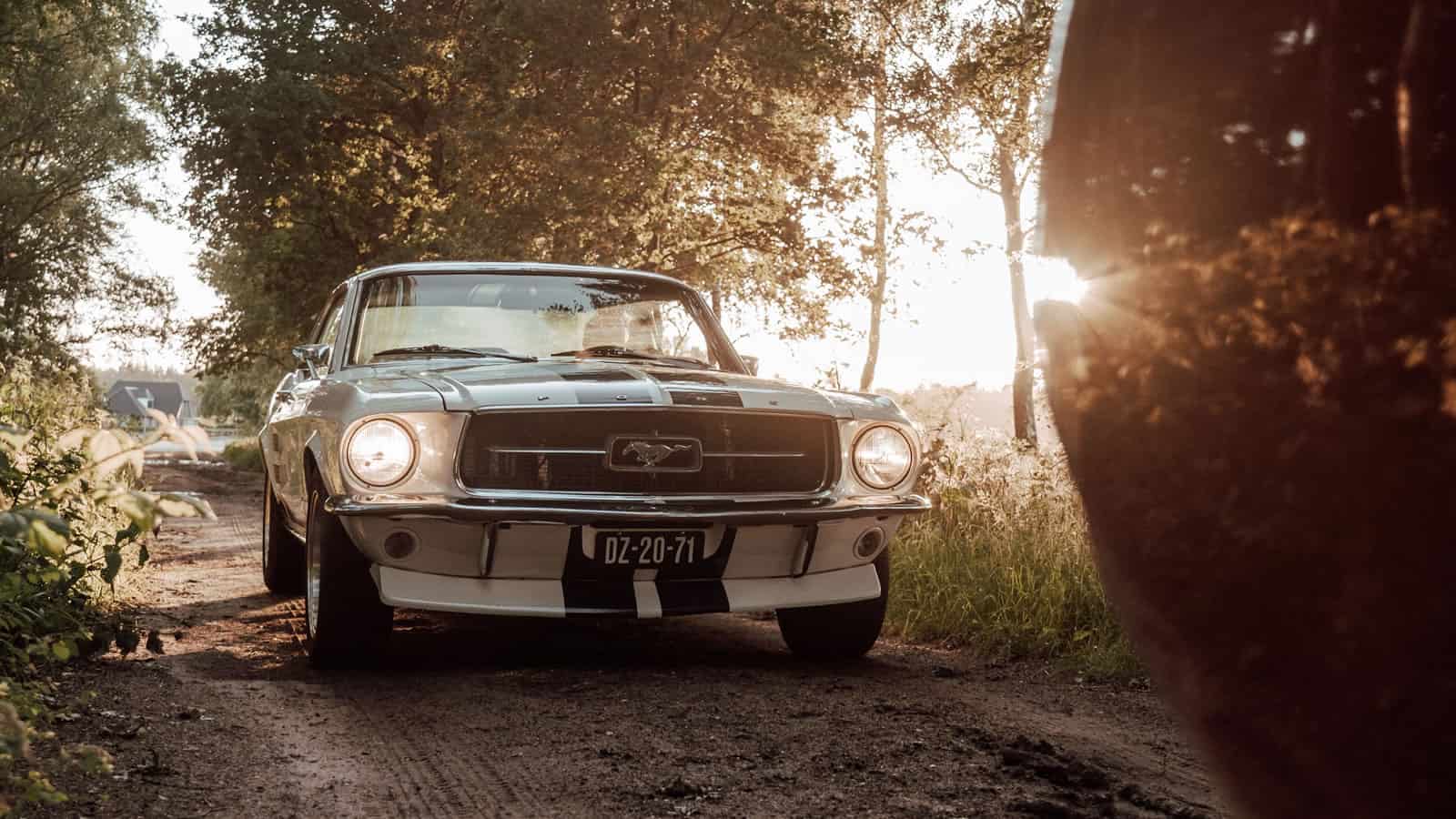 I Was Taking The Road Out Of Town When Someone Told Me To Put It Back