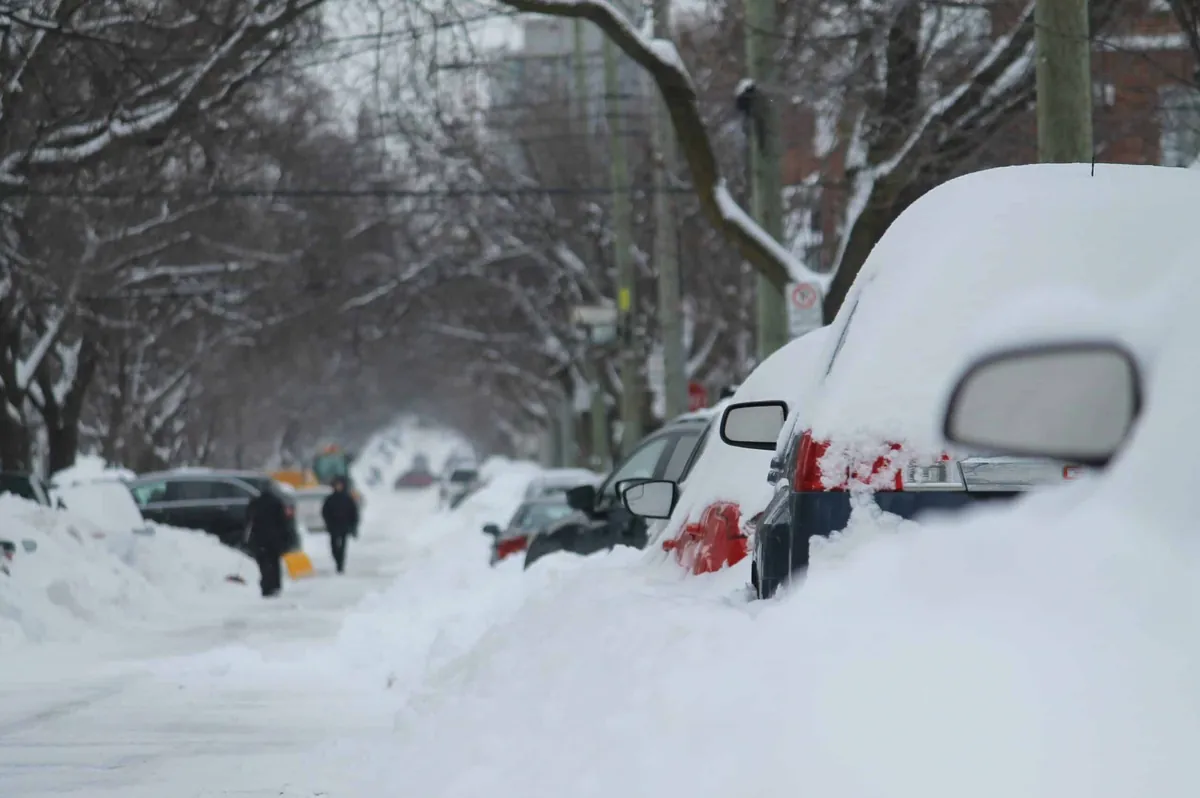 snow drifts blocking cars on street
