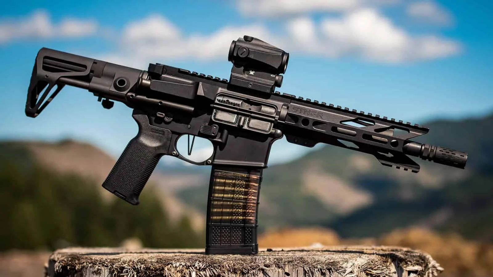 AR 15