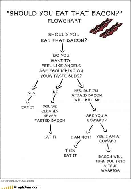 Bacon A Decision