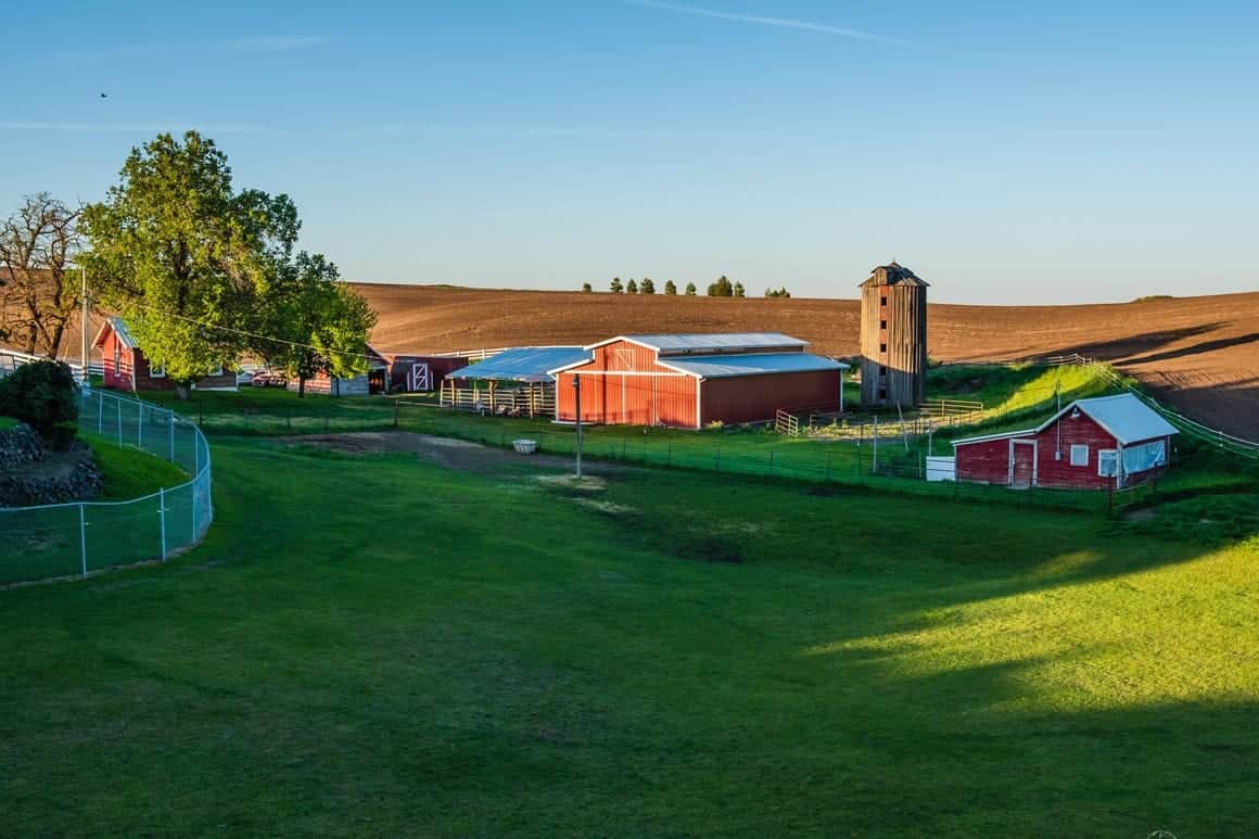 Life is Better on The Farm