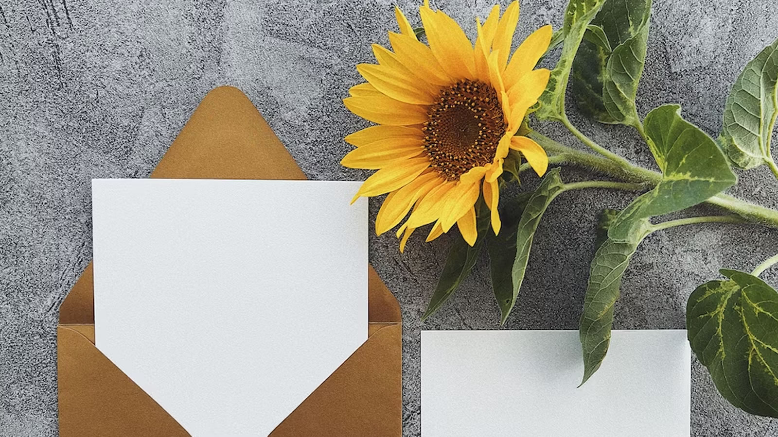 No Matter How Far You Push The Envelope It Remains Stationary