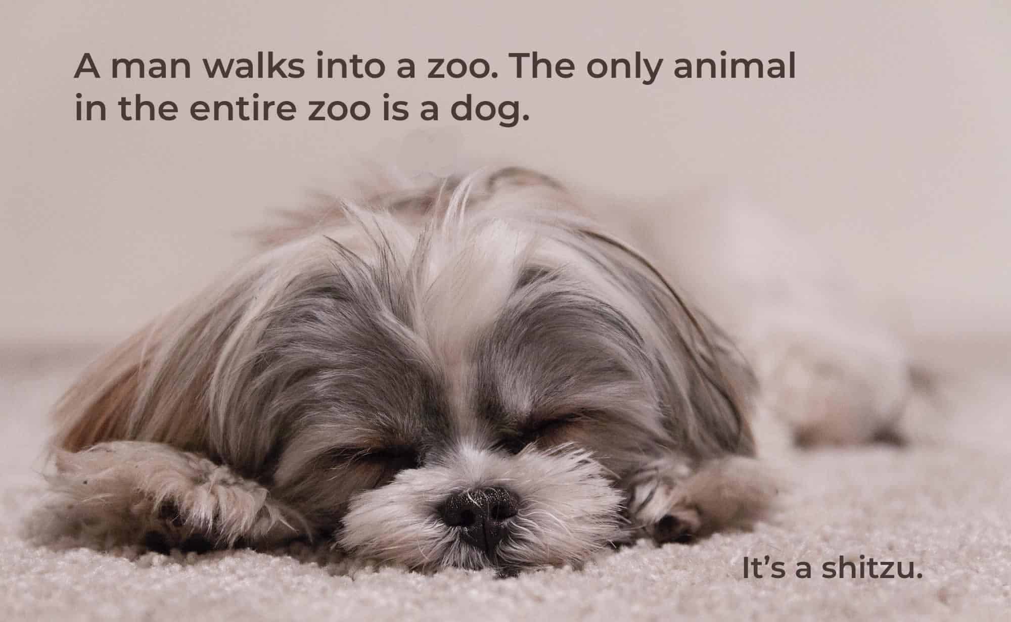 Same Thing Different Name