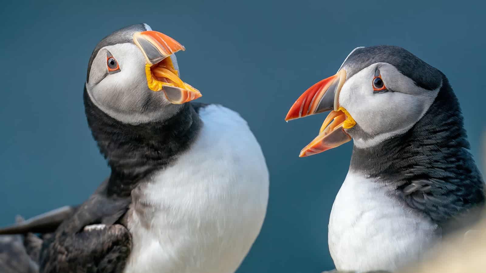 The Only Thing Worse Than Being Talked About, Is Not Being Talked About