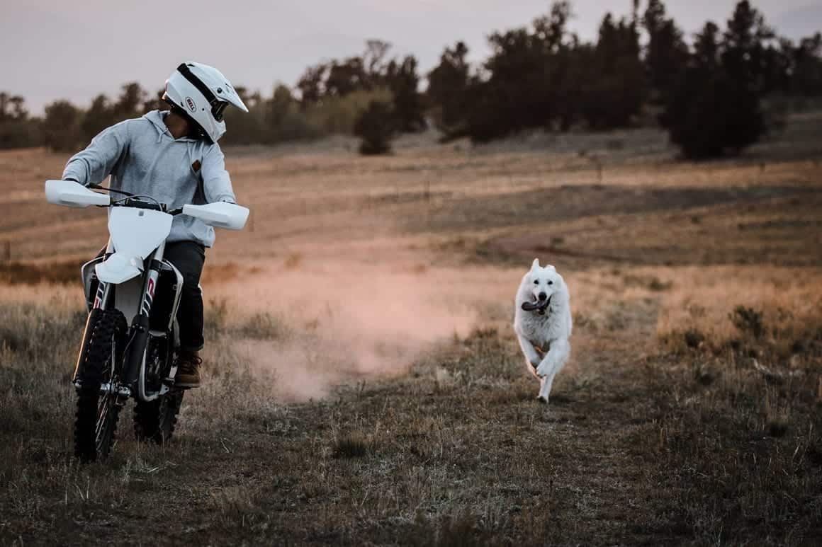Toy Boxes for Boats, ATVs, and Snowmobiles