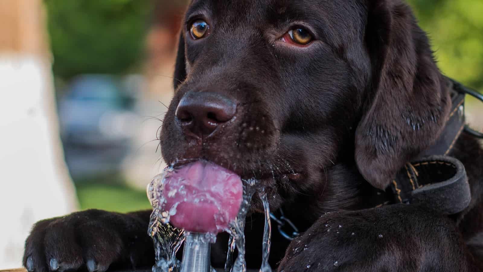 We Have Enough Youth, How About A Fountain Of “Smart”?