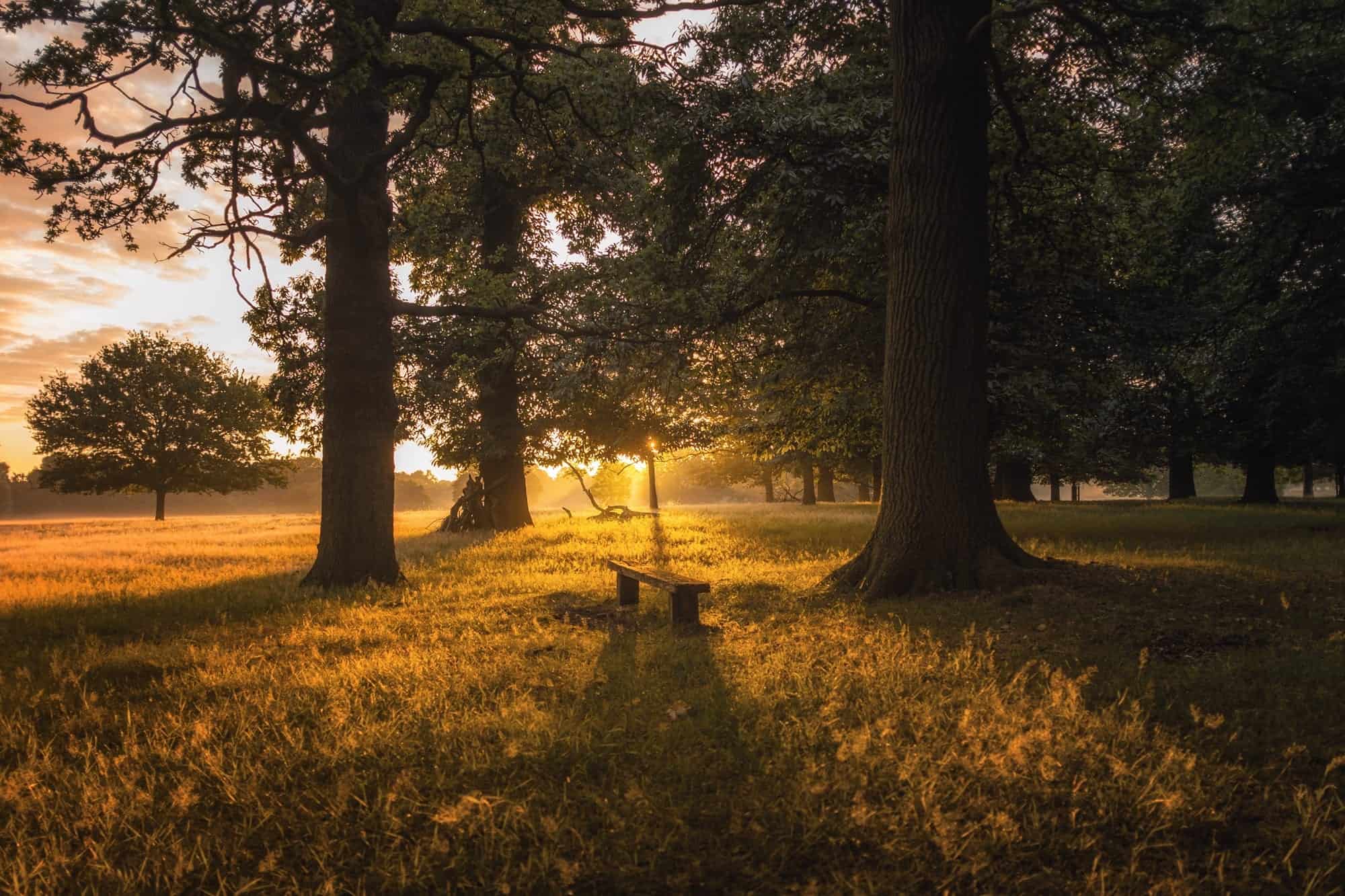 Welcome to Sherman Country