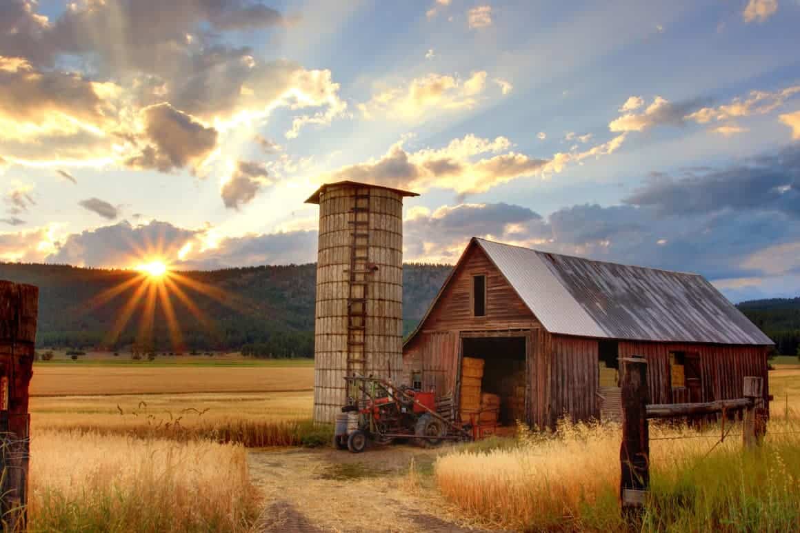 What Makes You Country